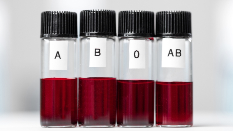 Four vials labeled A, B, O, and AB showing samples that represent the main human blood types